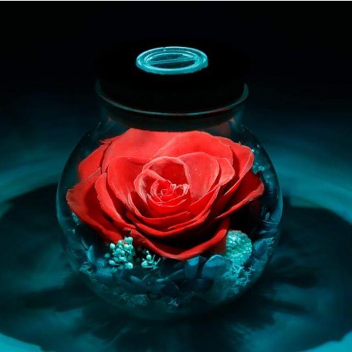 Preserved Real Roses with Colorful Mood Light Wishing Bottle,Eternal Rose